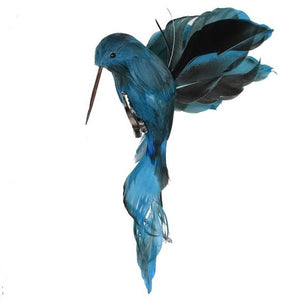 Blue Feather Humming Bird