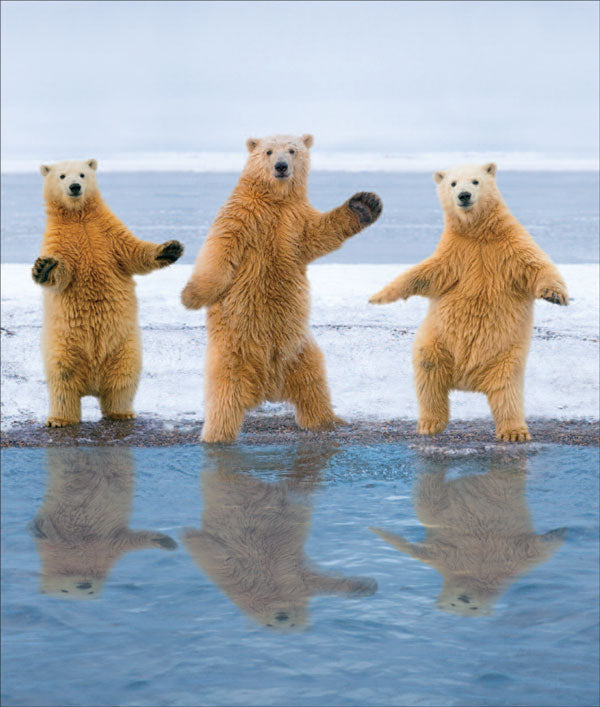 Polar Bear Dancing